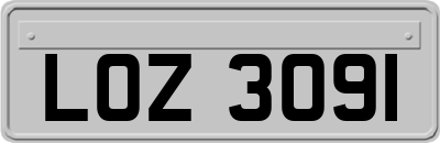 LOZ3091