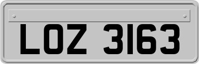 LOZ3163