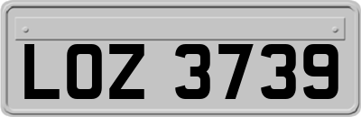 LOZ3739