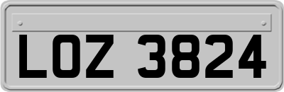 LOZ3824