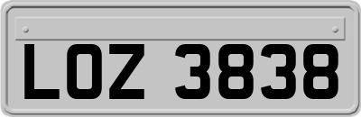 LOZ3838
