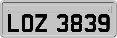 LOZ3839