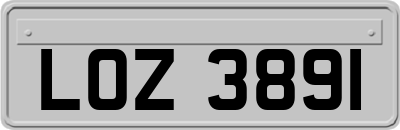 LOZ3891