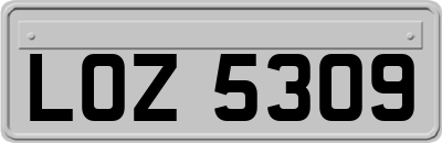 LOZ5309