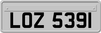LOZ5391