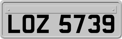 LOZ5739