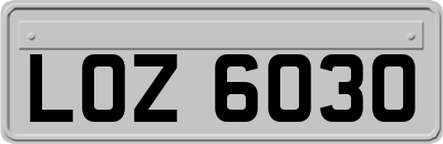 LOZ6030