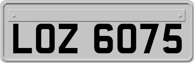 LOZ6075