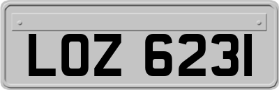 LOZ6231