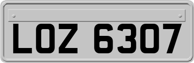LOZ6307