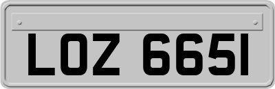 LOZ6651