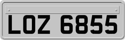 LOZ6855