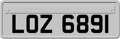 LOZ6891
