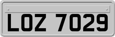 LOZ7029