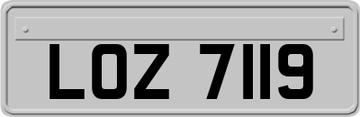 LOZ7119
