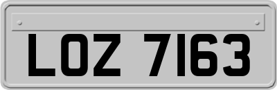LOZ7163