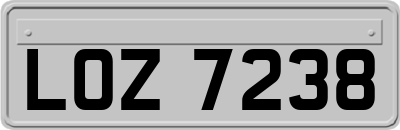 LOZ7238