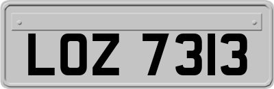 LOZ7313