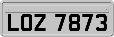 LOZ7873