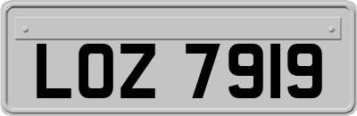 LOZ7919