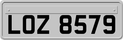 LOZ8579