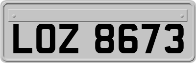 LOZ8673