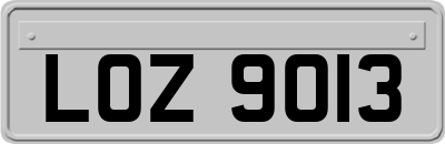 LOZ9013