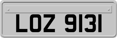 LOZ9131
