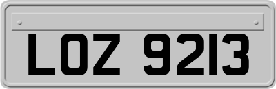 LOZ9213