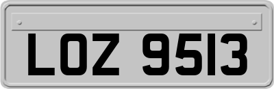 LOZ9513