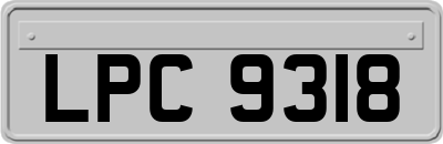 LPC9318