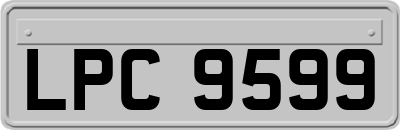 LPC9599