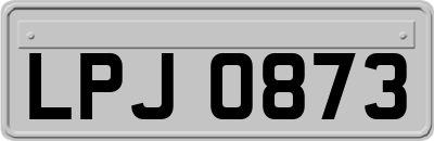 LPJ0873