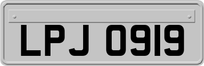 LPJ0919