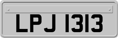 LPJ1313