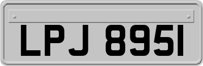 LPJ8951