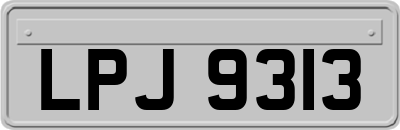 LPJ9313