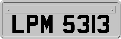 LPM5313