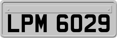 LPM6029
