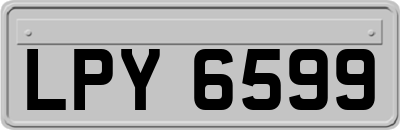 LPY6599