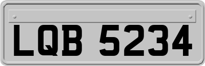 LQB5234