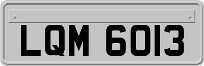 LQM6013
