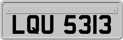 LQU5313