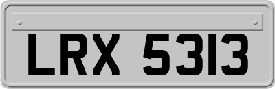 LRX5313
