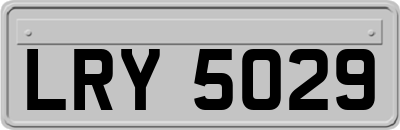 LRY5029