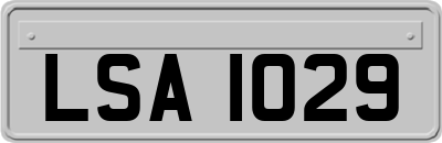 LSA1029