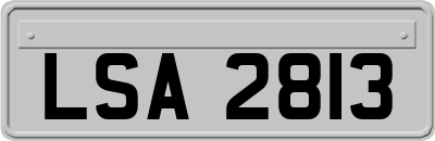LSA2813