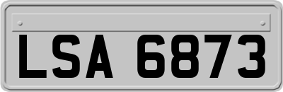 LSA6873