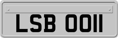 LSB0011