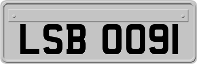 LSB0091